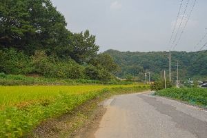 안성 구메농사마을