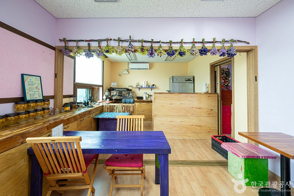 콩콩이자연미술체험장 (1)