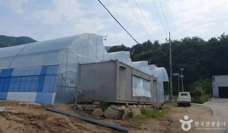 큰삼촌농촌체험