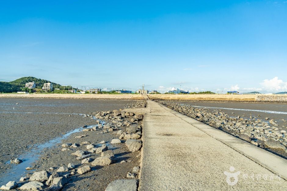 안산_탄도바닷길 (5)