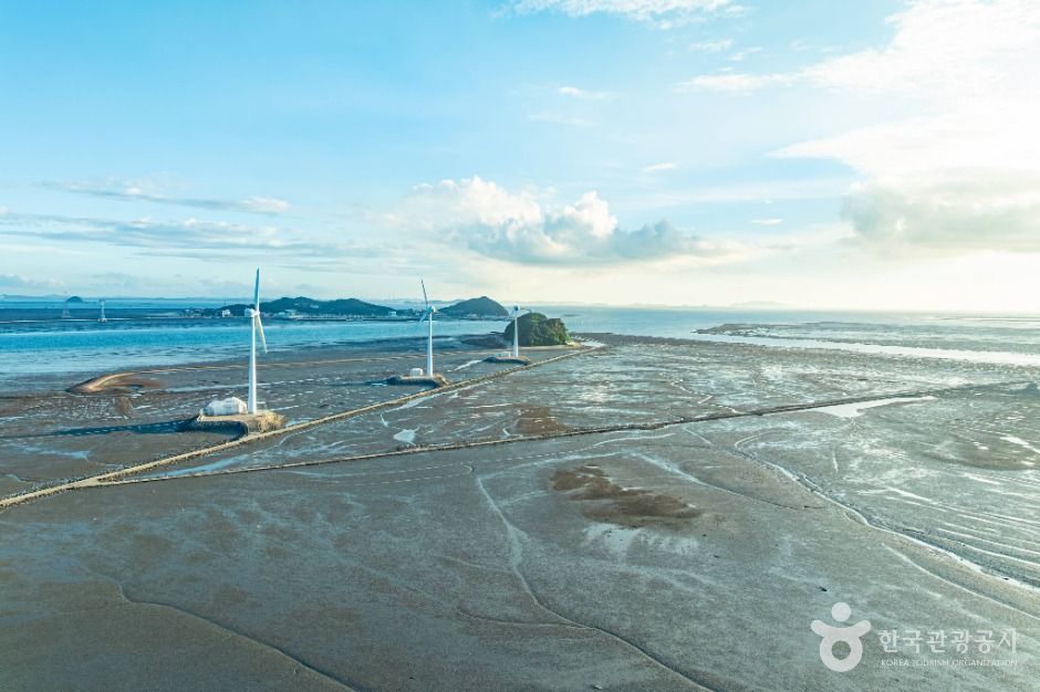 안산_탄도바닷길 (6)