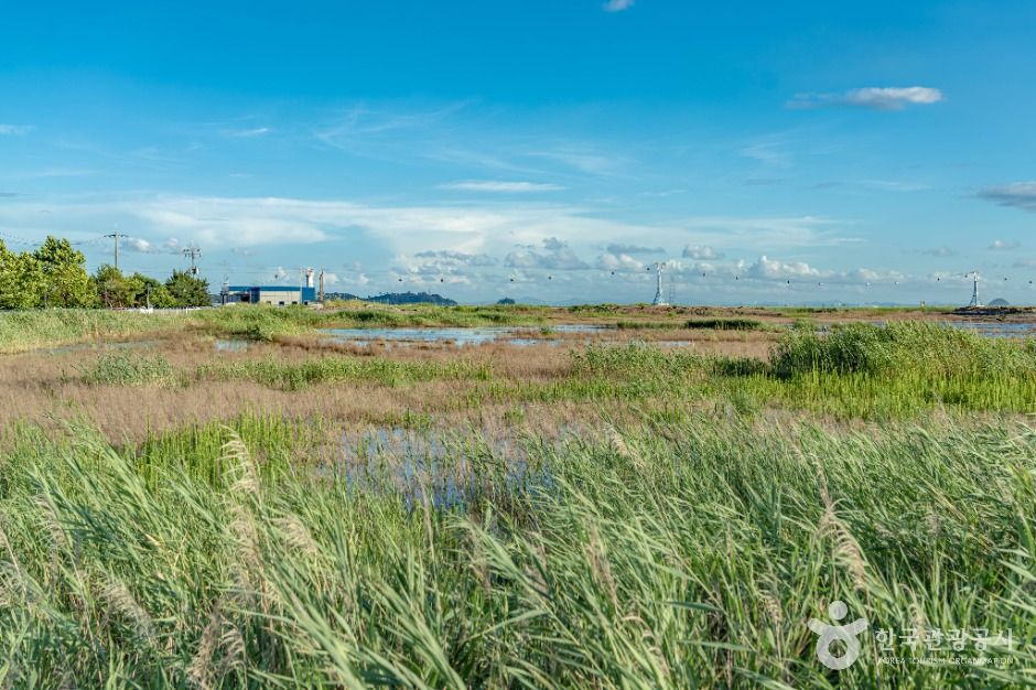 안산_탄도어촌체험마을 (1)