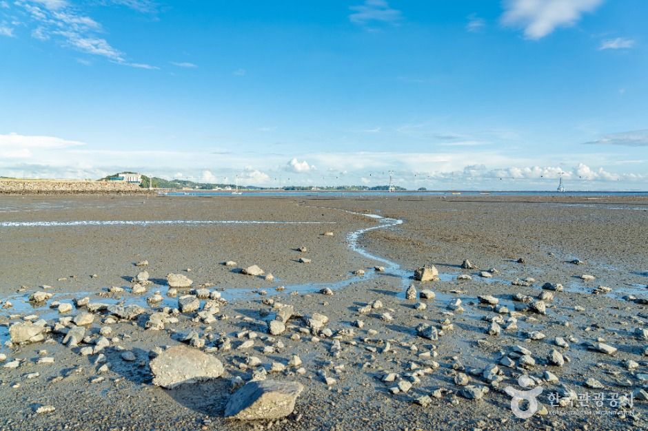 안산_탄도어촌체험마을 (3)