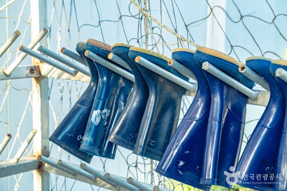 안산_탄도어촌체험마을 (4)