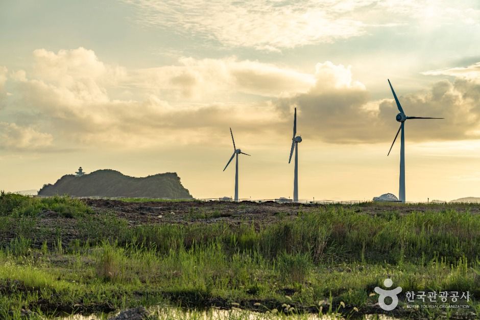 안산_탄도어촌체험마을 (5)