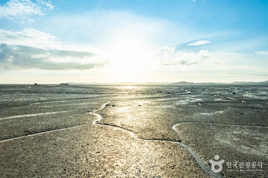 안산_탄도어촌체험마을 (7)