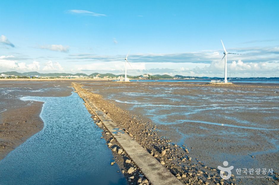 안산_탄도어촌체험마을 (8)