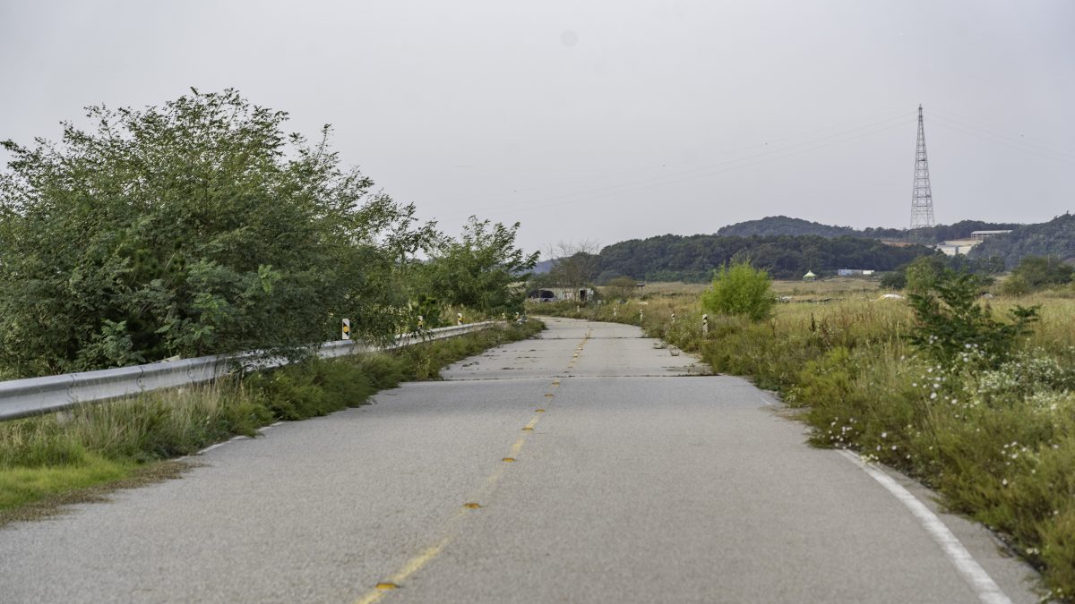 탄도인공습지공원_진입로