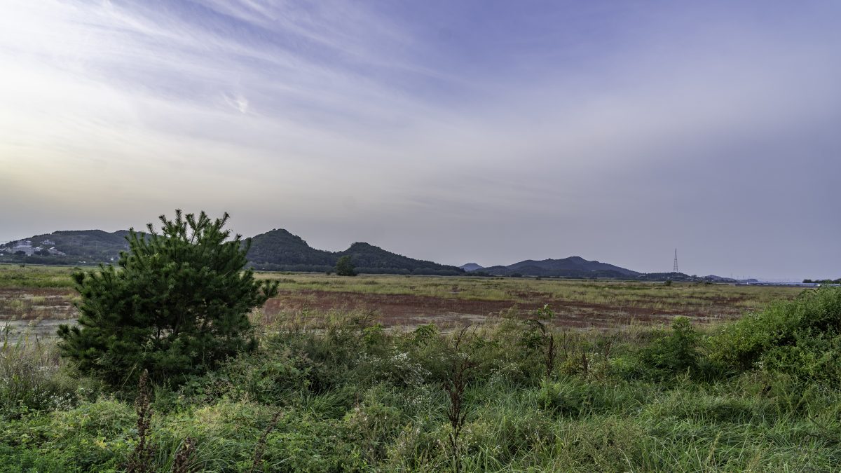 탄도인공습지공원
