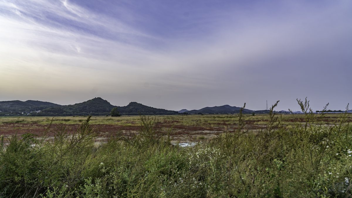 탄도인공습지공원_습지