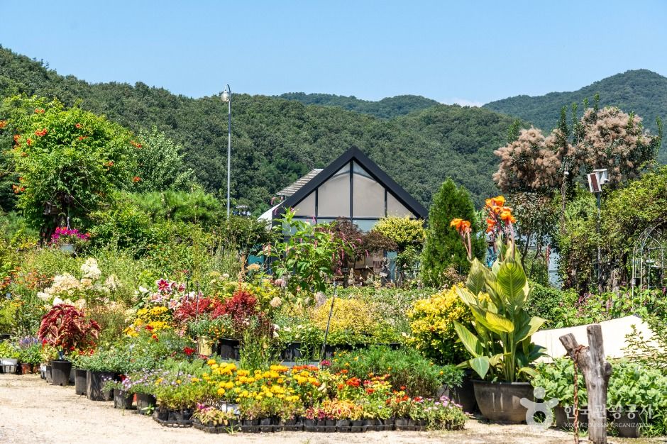 경기광주_퇴촌식물원 (1)