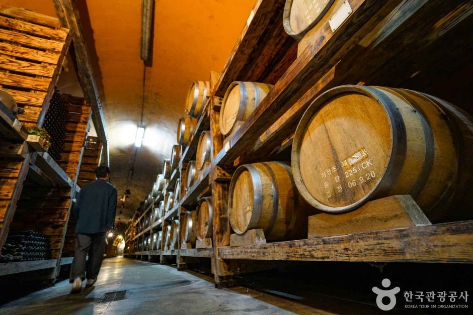 경기_파주_파주 산머루마을 (5)