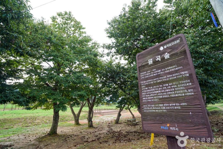 경기_파주_파주 율곡습지공원 (6)