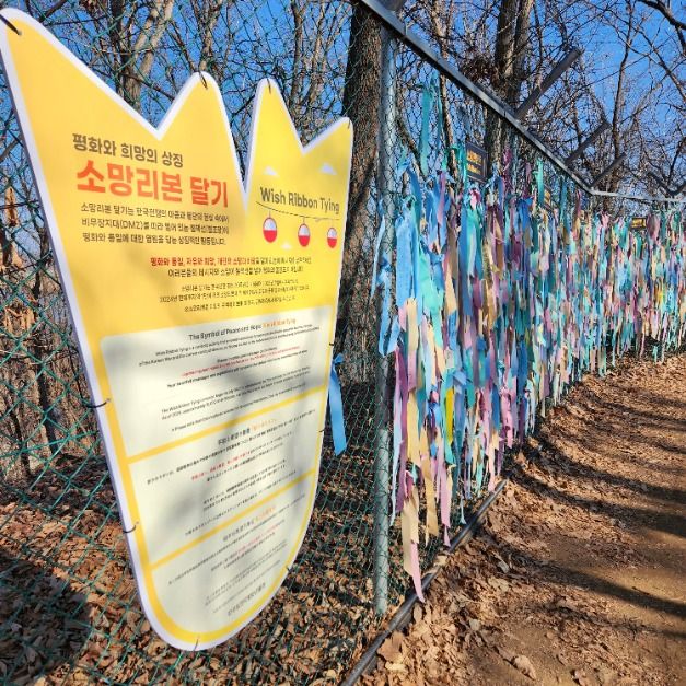 파주 임진각평화곤돌라(파주 DMZ 곤돌라) (8)