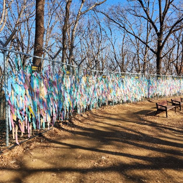 파주 임진각평화곤돌라(파주 DMZ 곤돌라) (9)