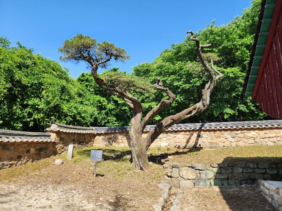 파주_파주향교 (15)