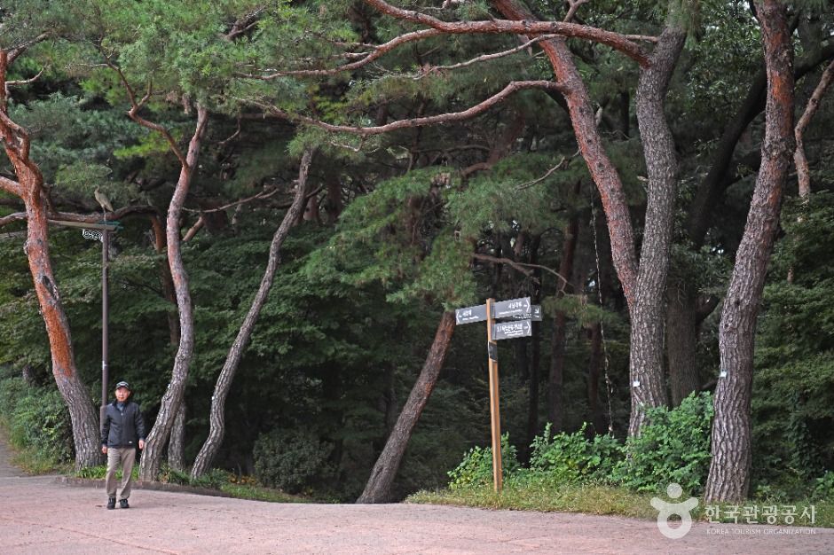 수원_팔달산 (7)