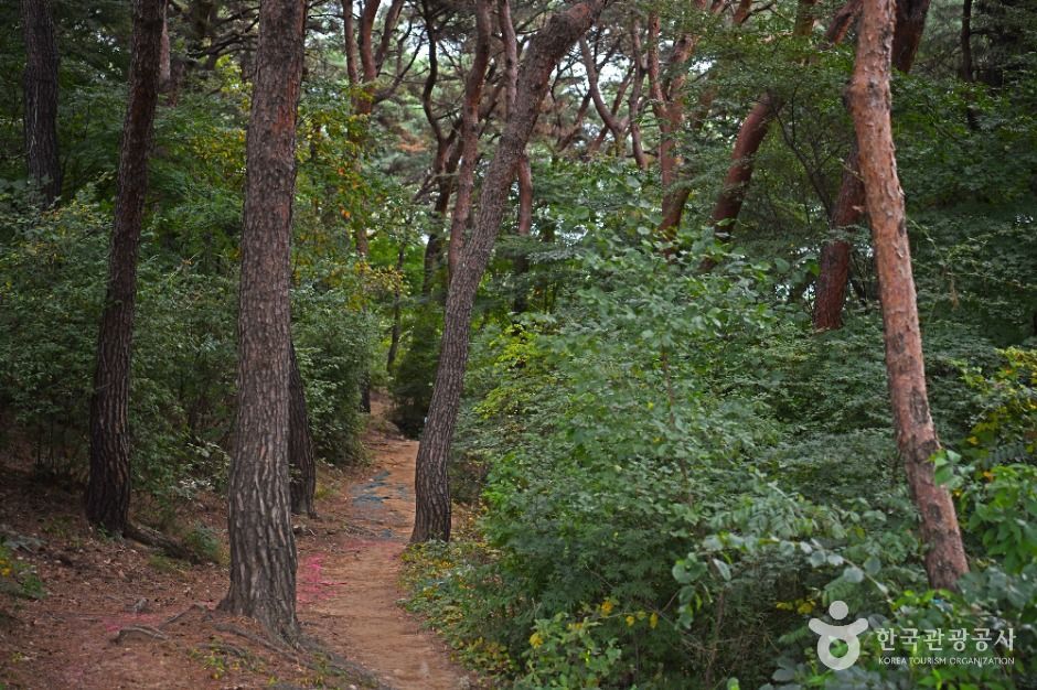 수원_팔달산 (4)