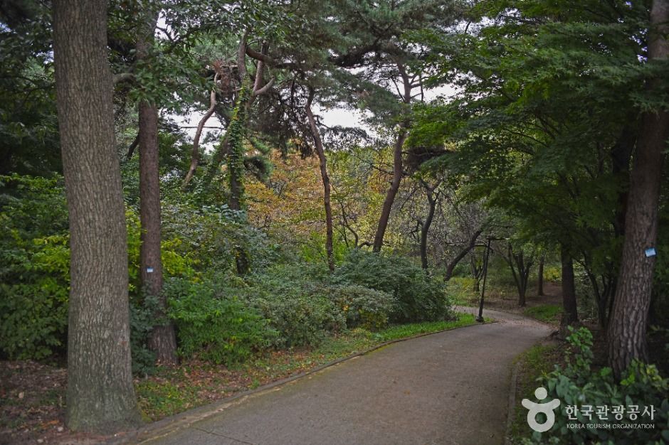 수원_팔달산 (5)