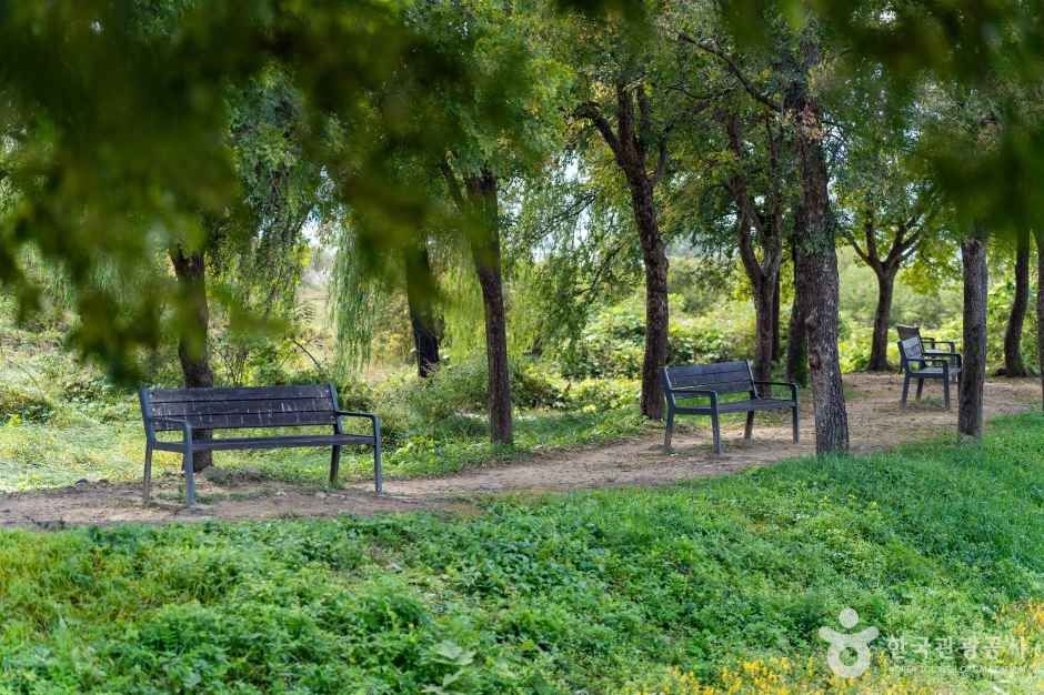 팔당물안개공원_2