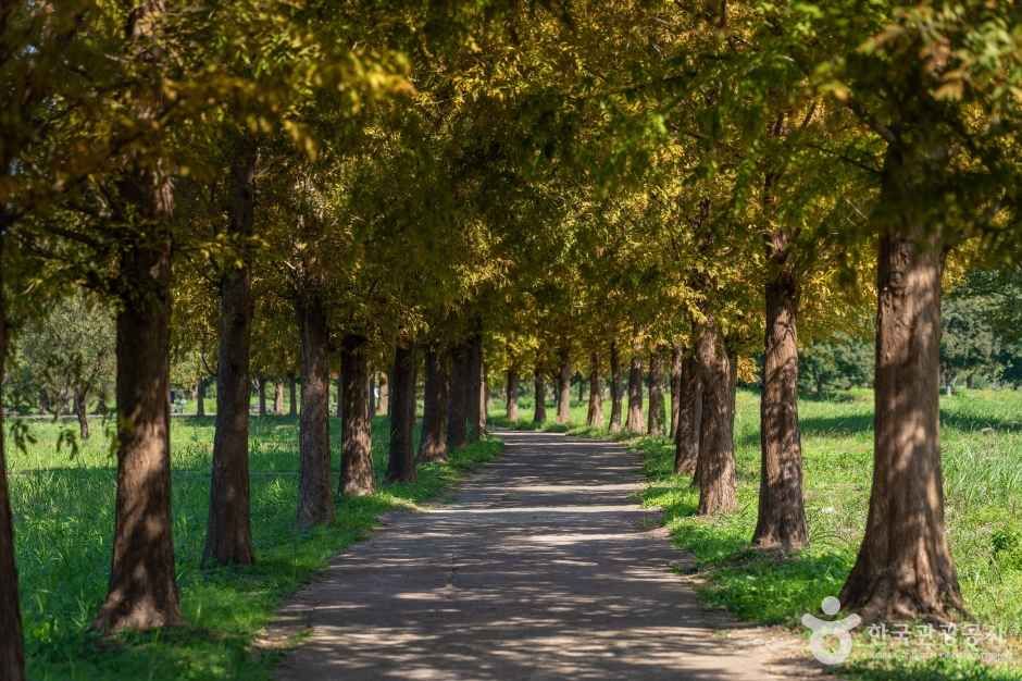 팔당물안개공원