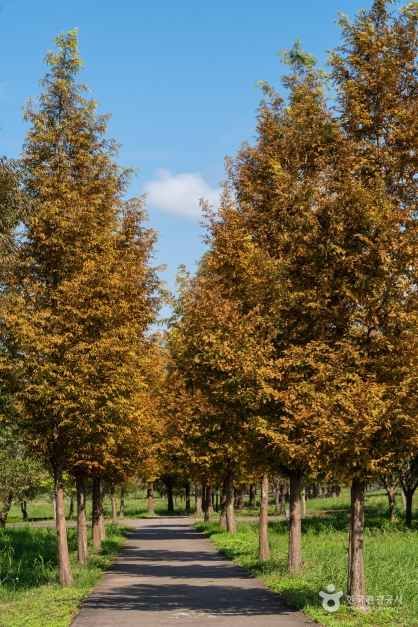 팔당물안개공원