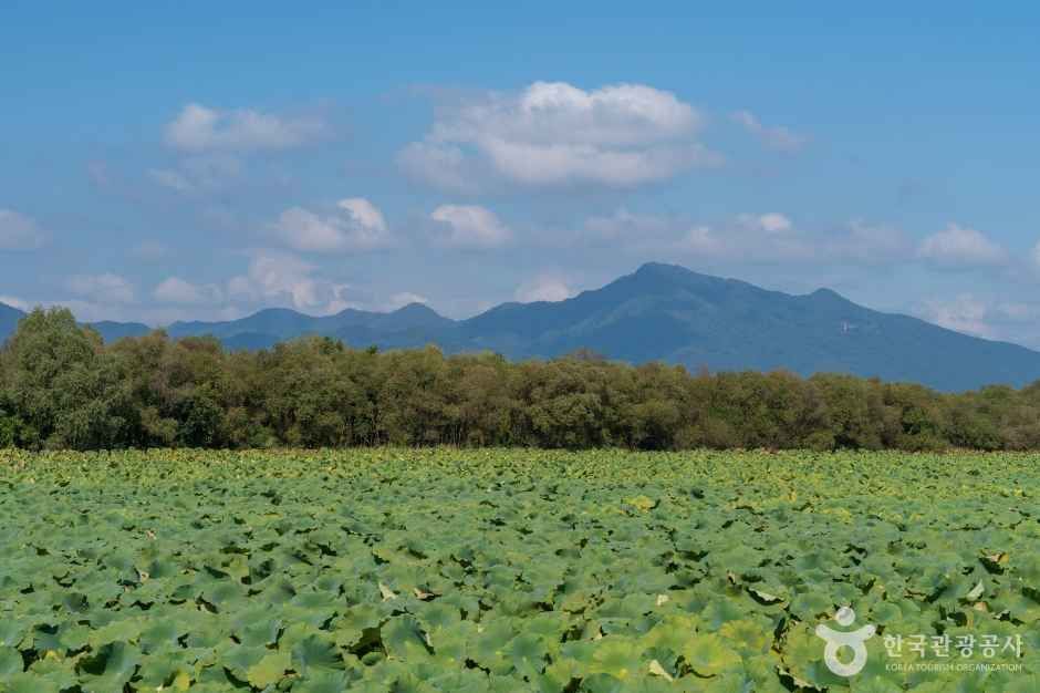 팔당물안개공원
