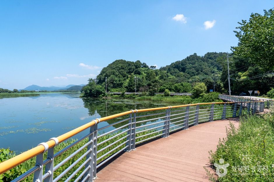 경기광주_팔당호 (4)