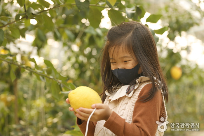경기_이천_‘내 마음 나도 몰라’ 코로나 블루에 대처하는 마음 처방 여행_팜앤트리 07