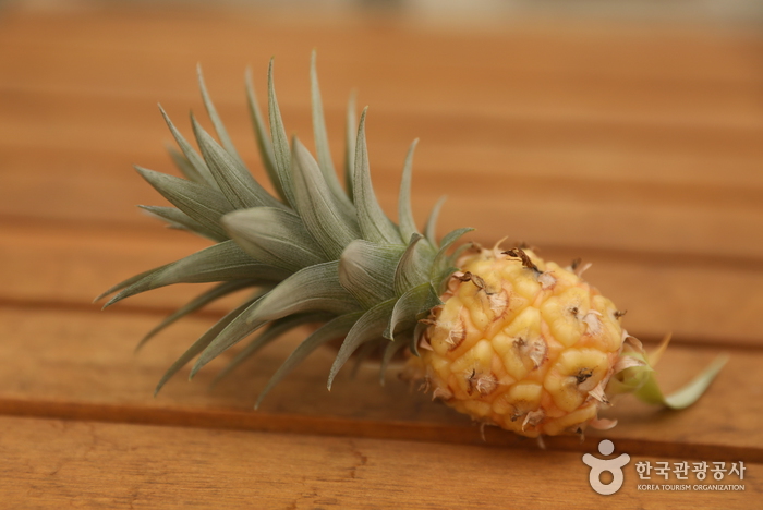 경기_이천_‘내 마음 나도 몰라’ 코로나 블루에 대처하는 마음 처방 여행_팜앤트리 15