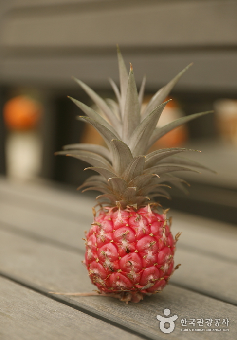 경기_이천_‘내 마음 나도 몰라’ 코로나 블루에 대처하는 마음 처방 여행_팜앤트리 16