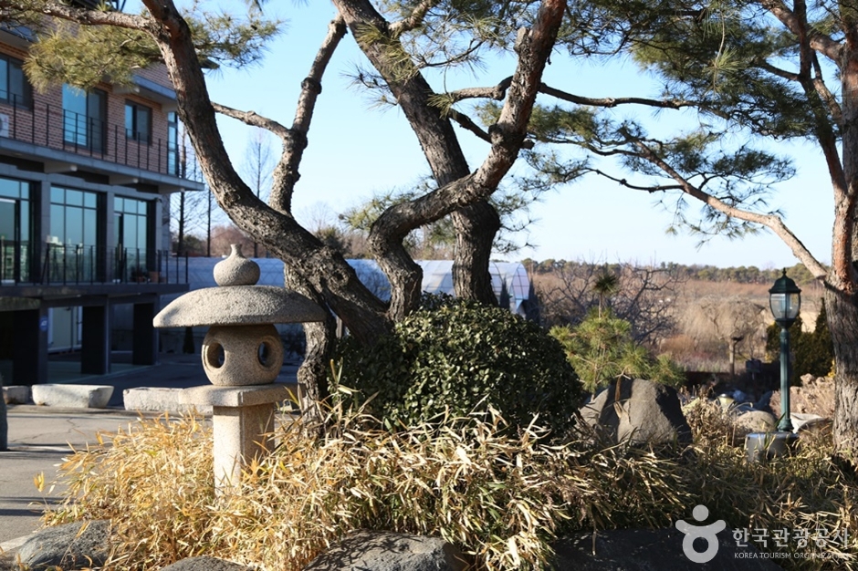 N00784_경기_평택_평택허브팜 (6)