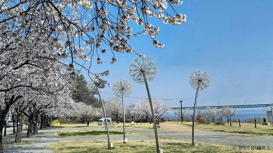 평택_평택호관광단지 (1)