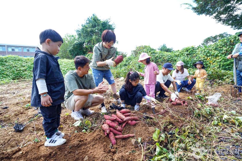경기_연천_푸르내마을 (5)