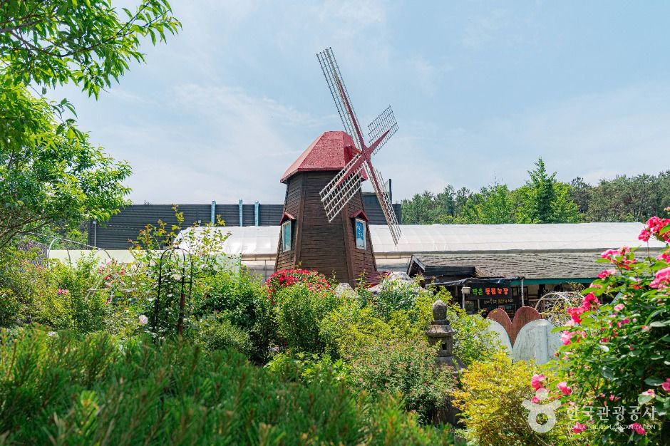 양평_풀향기 허브나라&토이전시관 (2)