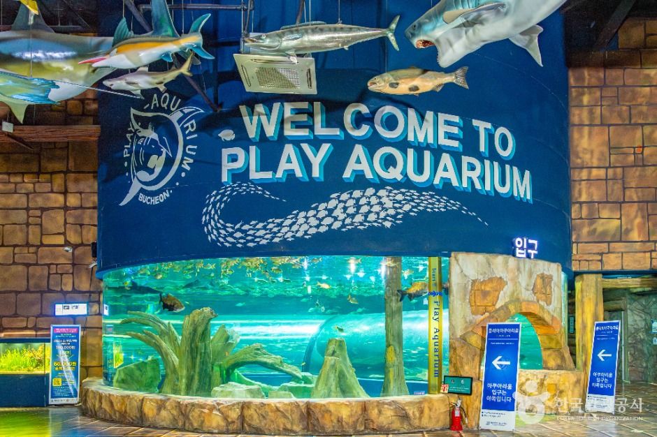 플레이 아쿠아리움 부천