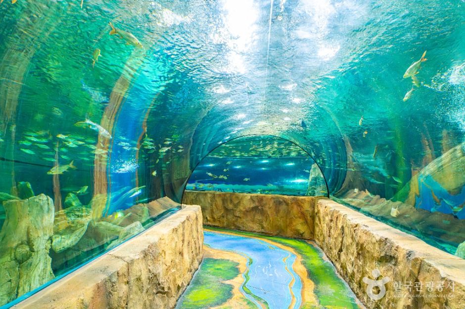 부천_플레이 아쿠아리움 부천 (2)