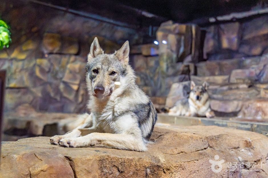 부천_플레이 아쿠아리움 부천 (7)