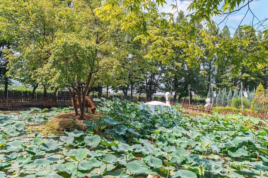 김포_피싱파크 진산각 (4)