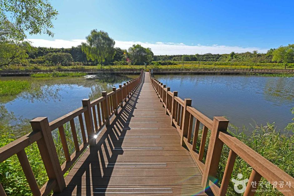 김포_하동천 생태탐방로 (2)