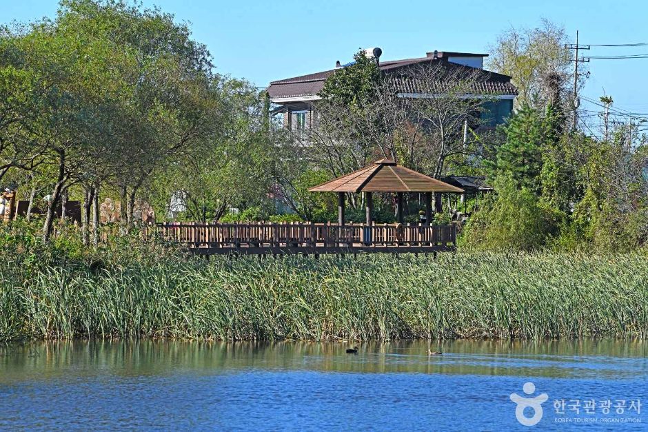 김포_하동천 생태탐방로 (3)