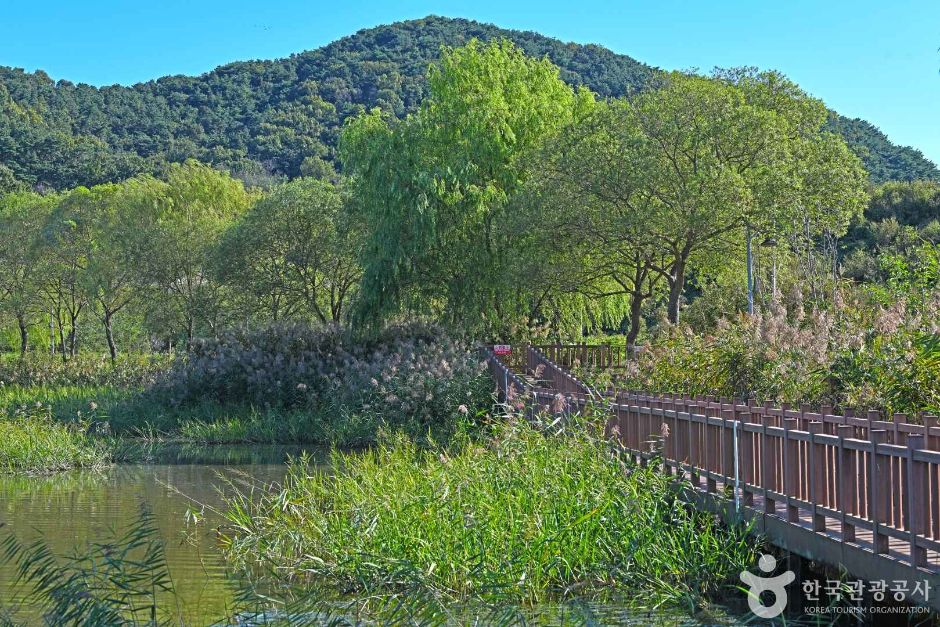 김포_하동천 생태탐방로 (4)