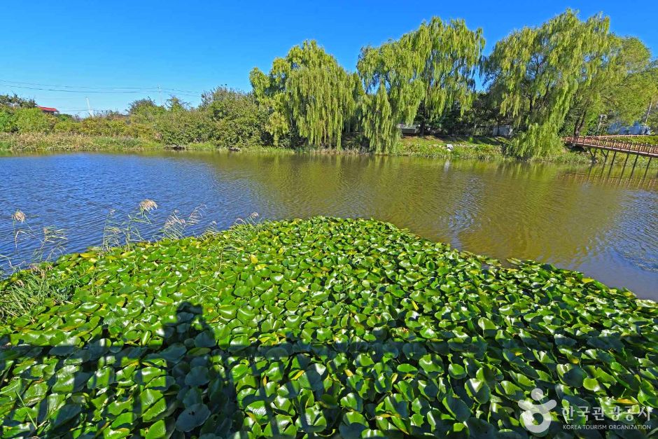 김포_하동천 생태탐방로 (5)