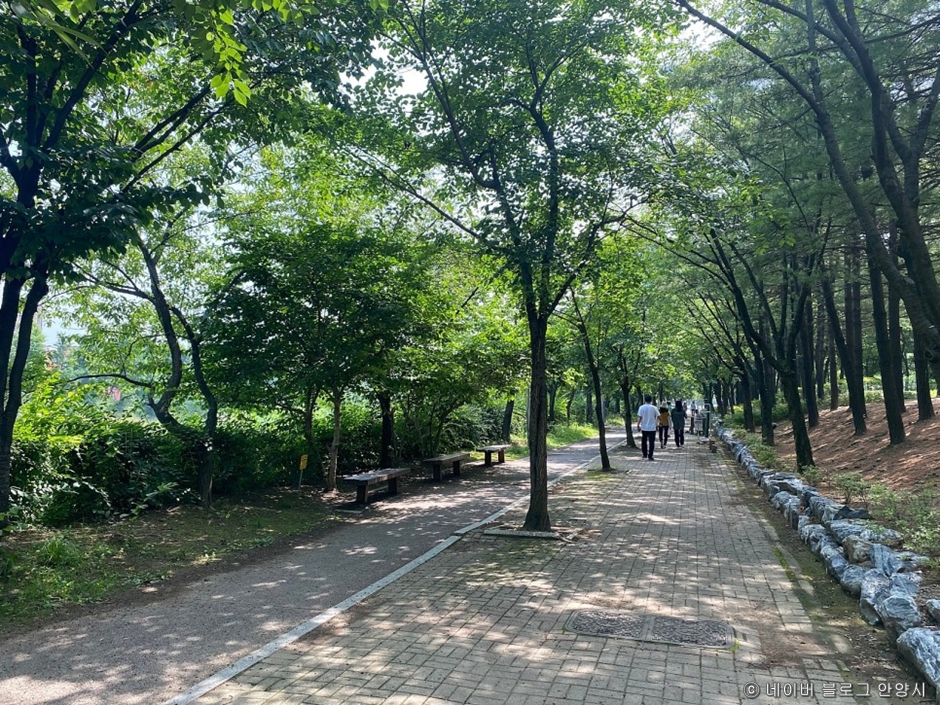 학운공원_산책로