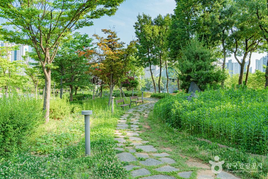 김포_한강중앙공원 (3)