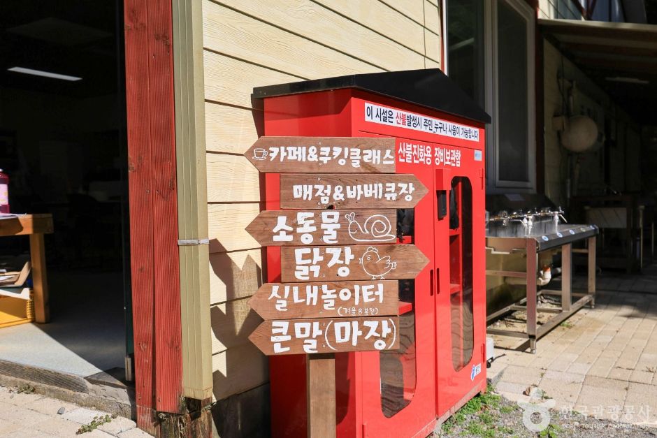 용인_한터 조랑말농장 (7)