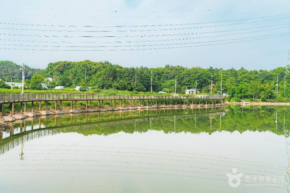 양평_향리저수지 (5)