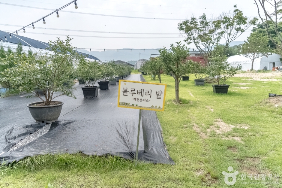 경기_용인_헤븐온어스 (8)