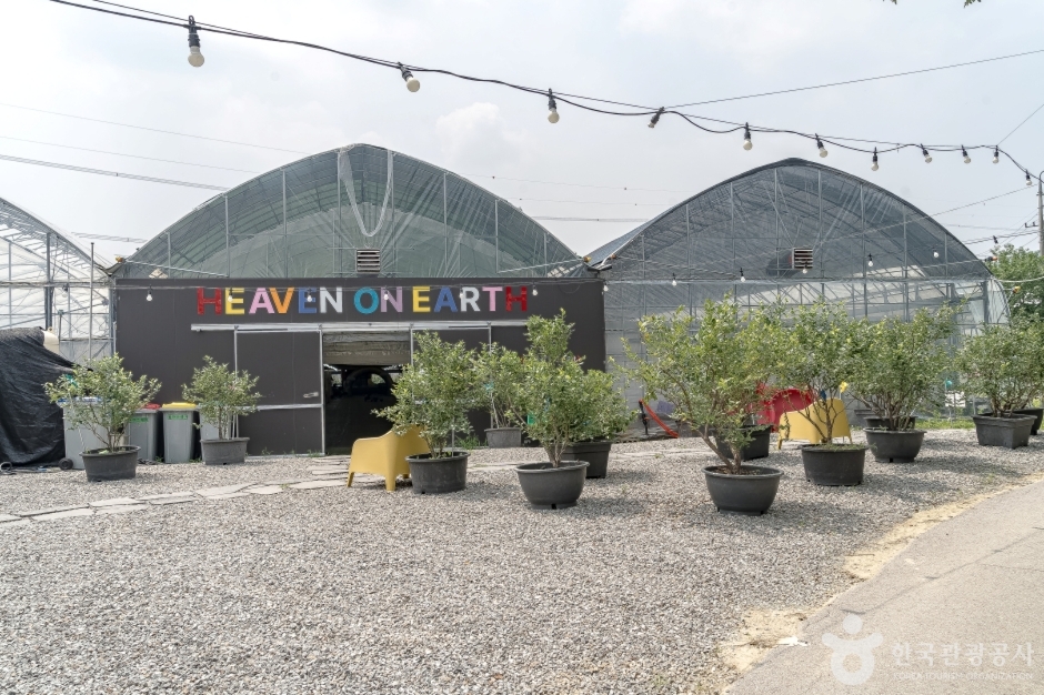 경기_용인_헤븐온어스 (9)