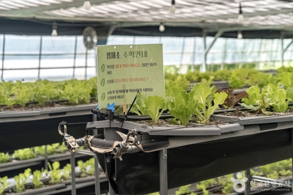 경기_용인_헤븐온어스 (18)